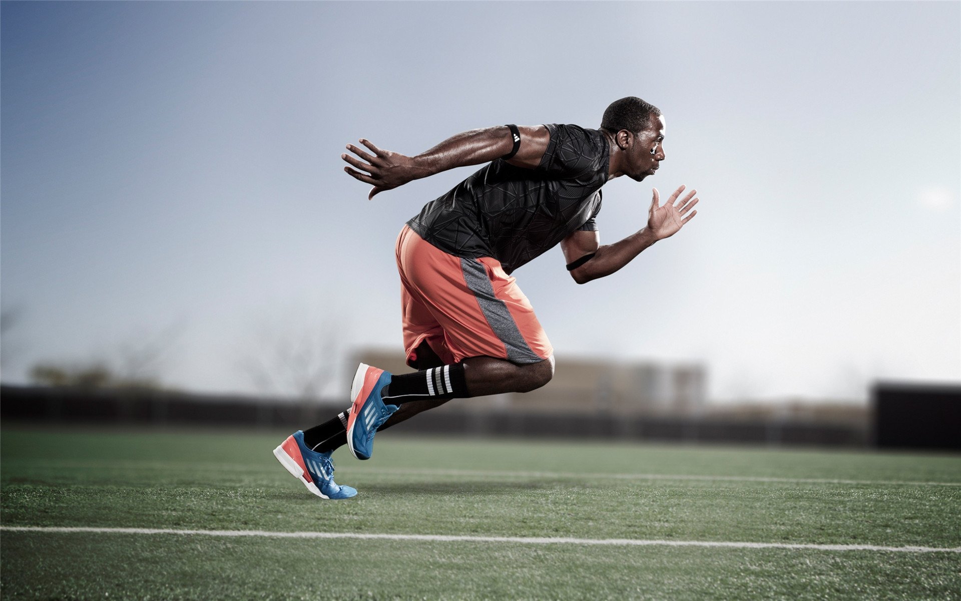 存在感哲学，从弗拉霍维奇到比利时，竞技场上的在场与击溃艺术